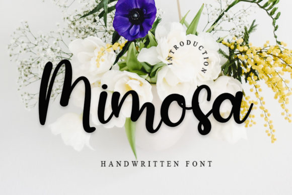 Mimosa: A Friendly Handwritten Font That Feels Like Home