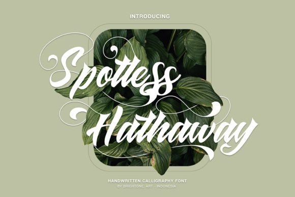 Spotless Hathaway: A Handwritten Font That Builds Trust